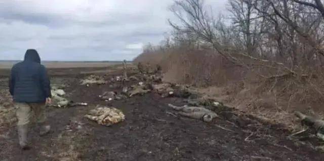 乌克兰军队又又又崩溃<strong></p>
<p>货币互换以场内交易为主</strong>，俄军即将逼近扎波罗热州界？