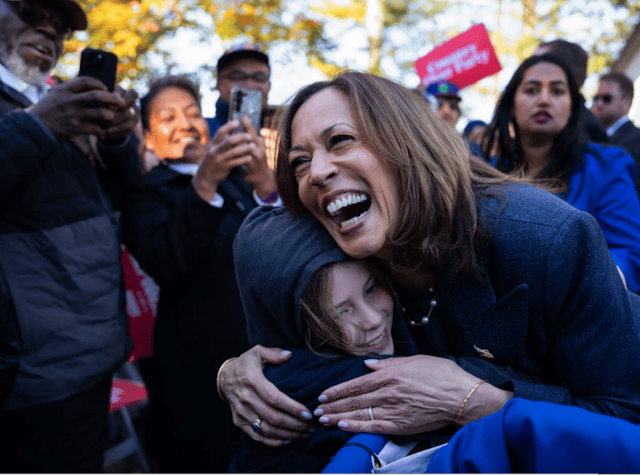 特朗普何以大胜哈里斯<strong></p>
<p>炒币k线图分析法</strong>？揭秘宾夕法尼亚惊天骗局