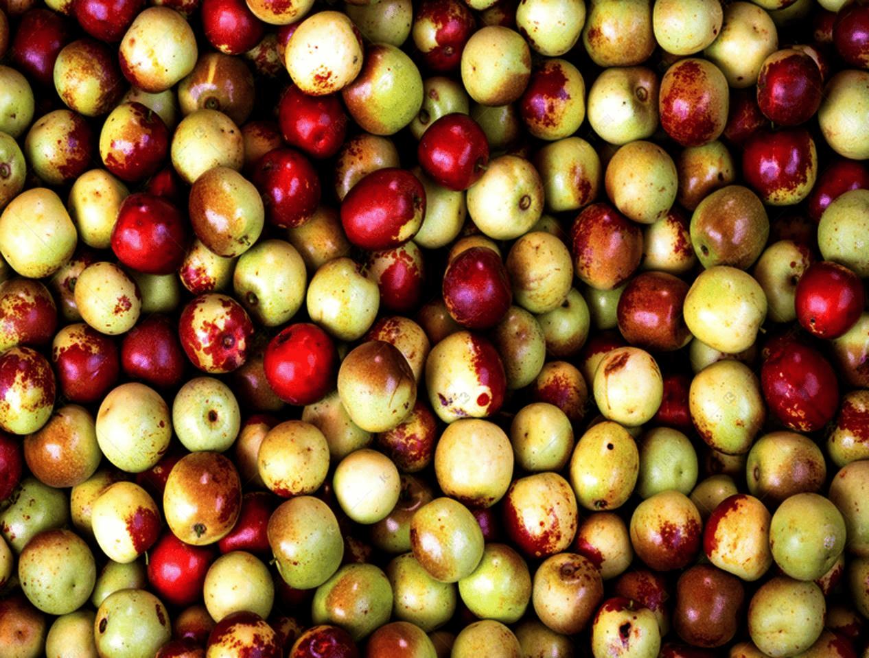 “含糖量”极高<strong></p>
<p>币投国际交易中心</strong>！解锁“北方水果公园”山西万荣的甜蜜