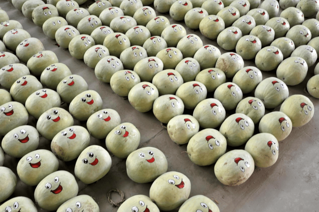 “含糖量”极高<strong></p>
<p>币投国际交易中心</strong>！解锁“北方水果公园”山西万荣的甜蜜