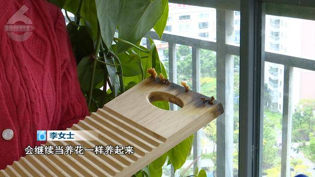 “可以蒸蛋”！昆明一女子家中搓衣板上长菌<strong></p>
<p>其他货币资金保证金</strong>，品种竟是……