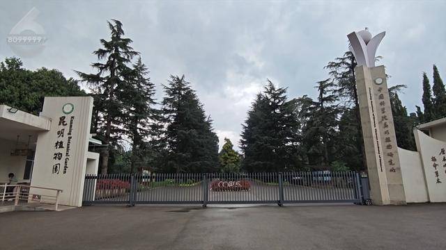 “可以蒸蛋”！昆明一女子家中搓衣板上长菌<strong></p>
<p>其他货币资金保证金</strong>，品种竟是……