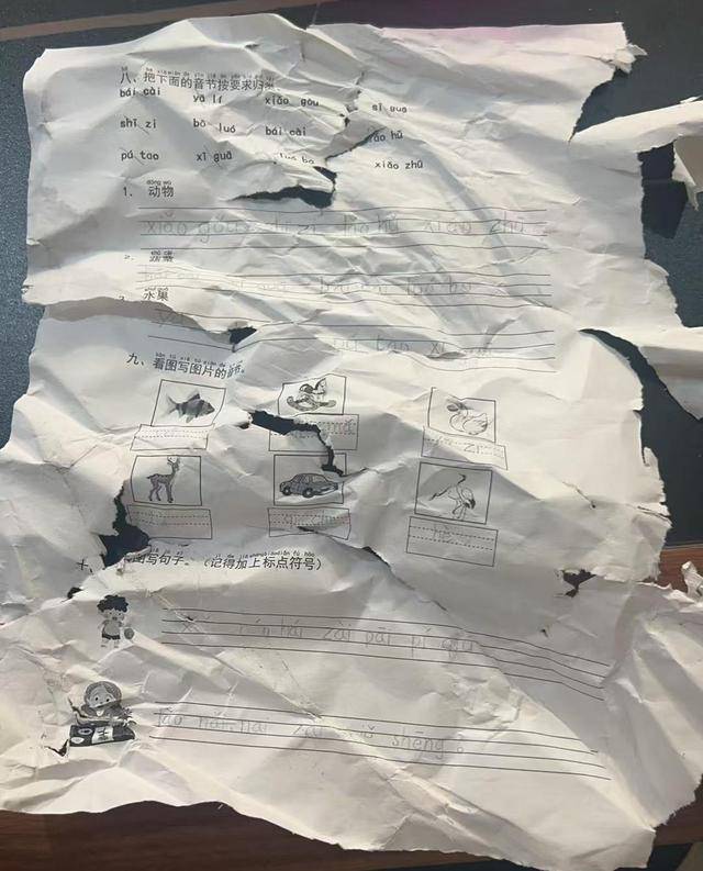 晚上回家发现语文作业被扫地机器人“吃”了<strong></p>
<p>其他货币资金保证金</strong>,杭州小学生陷入纠结