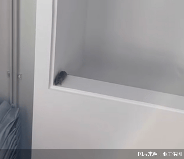 老鼠乱窜、直饮水发黄<strong></p>
<p>炒币机器人有哪些</strong>，北京业主千万元买的和锦诚园居然是这样