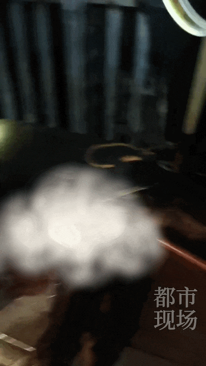 江西一高校惊现野猪<strong></p>
<p>币圈最新消息在哪里看</strong>，最后在食堂被成功抓获