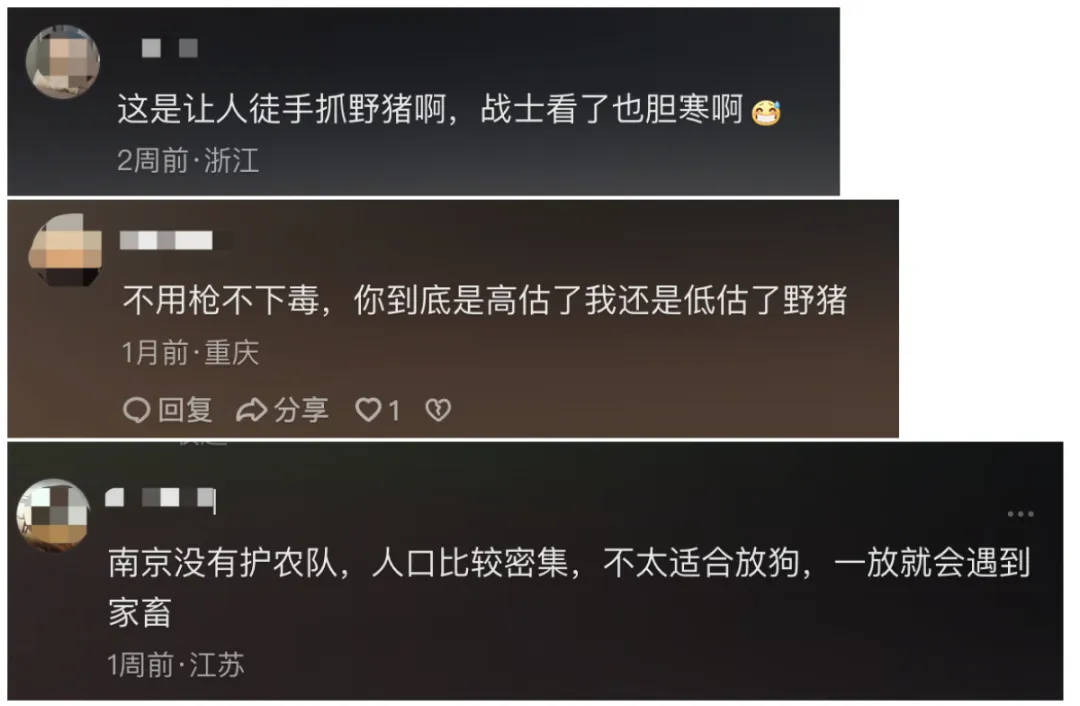 91.5万元打300头野猪<strong></p>
<p>币圈最新消息在哪里看</strong>,南京一企业中标后弃标,知情人:人手不够