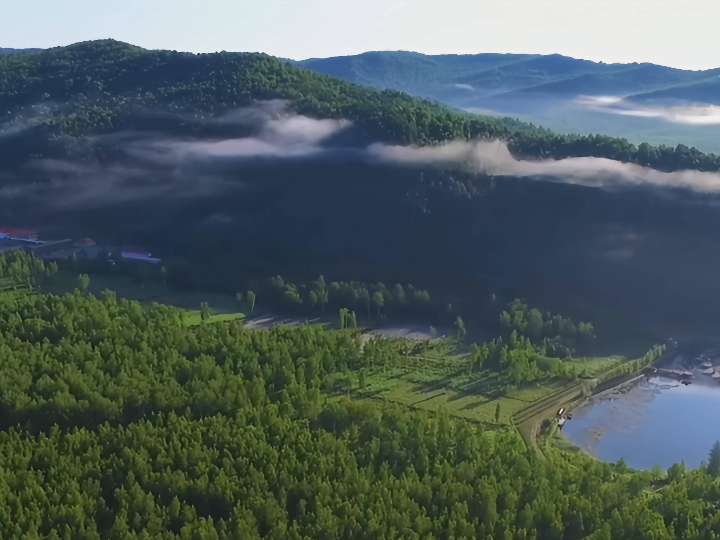 猛虎再下山:东北虎进村咬伤人事件背后的紧急应对和多方治理