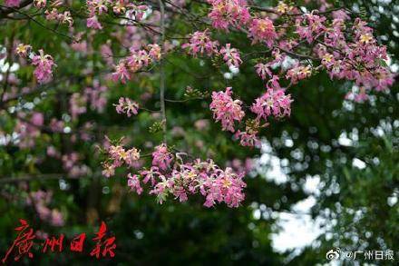 冷空气明天凌晨到达广州市区<strong></p>
<p>母币比普通币贵多少</strong>,后天起转为晴冷