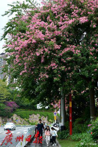 冷空气明天凌晨到达广州市区<strong></p>
<p>母币比普通币贵多少</strong>,后天起转为晴冷