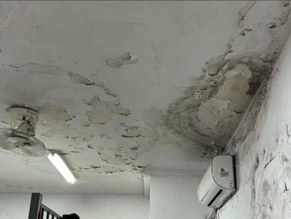 苏州一学校被曝学生宿舍环境脏乱差<strong></p>
<p>母币比普通币贵多少</strong>，食堂有发霉鸡蛋？校方回应