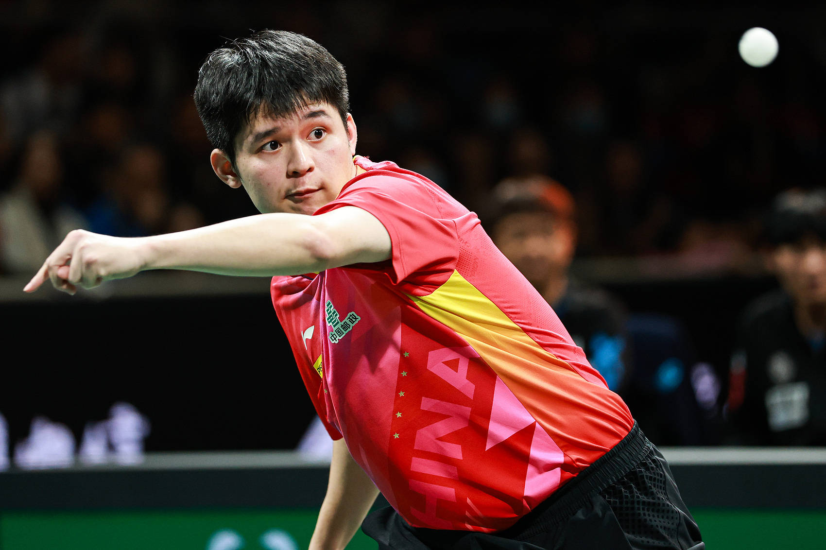 11战全胜<strong></p>
<p>债券在途交易市场</strong>！混团世界杯-国乒8-1韩国卫冕夺冠 王曼昱林诗栋均横扫