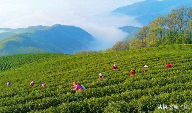 瞭望·治国理政纪事|“<strong></p>
<p>债券在途交易市场</strong>我也是个老基层”