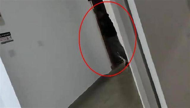 上海一高校男生晚上撞开女生寝室门<strong></p>
<p>维特币交易今日价格</strong>，校方：醉酒后走错了