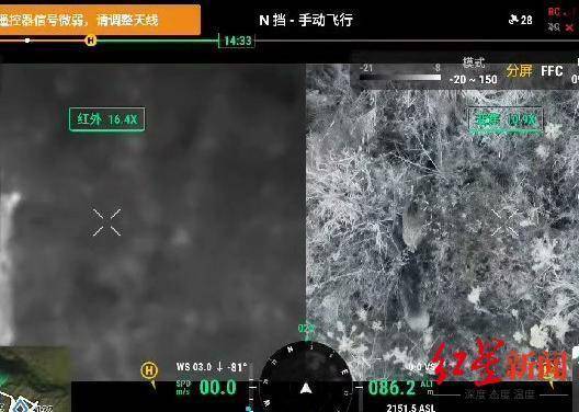 揭秘“野猪猎捕队”丨海拔3000米高山密林<strong></p>
<p>货币互换的风险有哪些</strong>，记者跟队直击猎捕野猪全过程