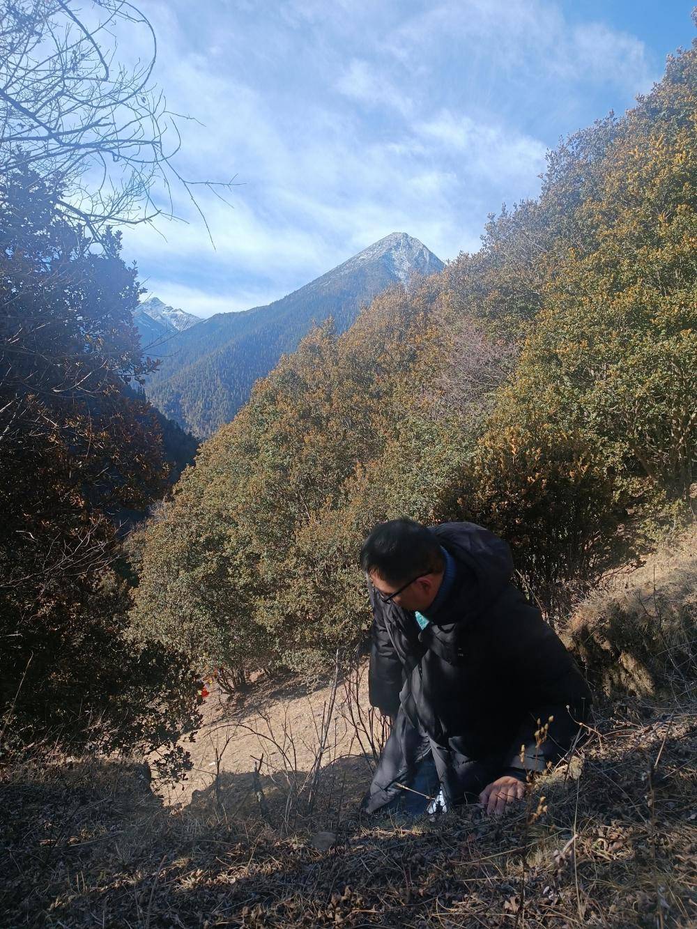 揭秘“野猪猎捕队”丨海拔3000米高山密林<strong></p>
<p>货币互换的风险有哪些</strong>，记者跟队直击猎捕野猪全过程