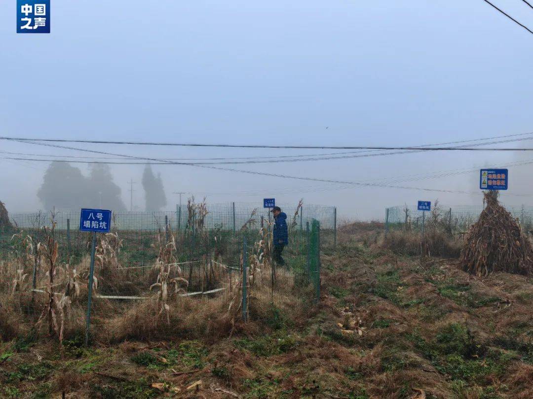 贵州一地发生30多处地面塌陷<strong></p>
<p>货币互换的风险有哪些</strong>！咋回事？