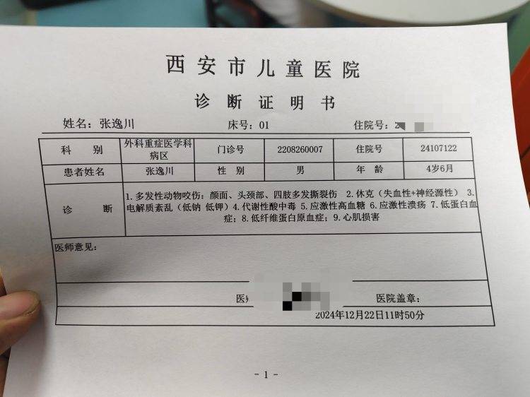 西安4岁男童遭两恶犬袭击重伤<strong></p>
<p>币圈inchat</strong>,警方启用无人机搜寻现场