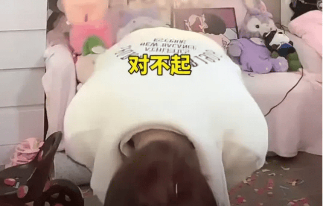 吴柳芳再被罚<strong></p>
<p>inchat币应</strong>！粉丝数从600多万暴降到4万！