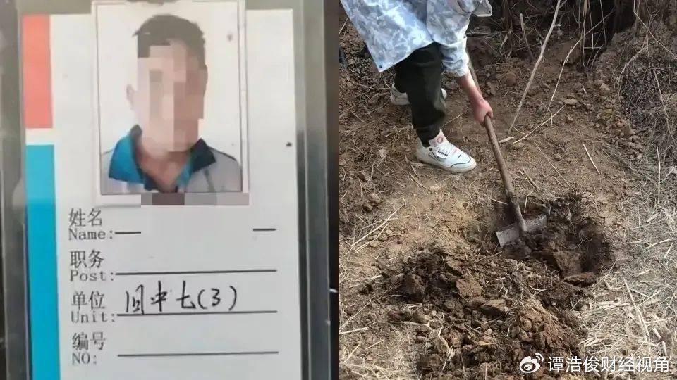 小恶魔被判无期<strong></p>
<p>炒币亏得倾家荡产</strong>，为何网友仍不满意？