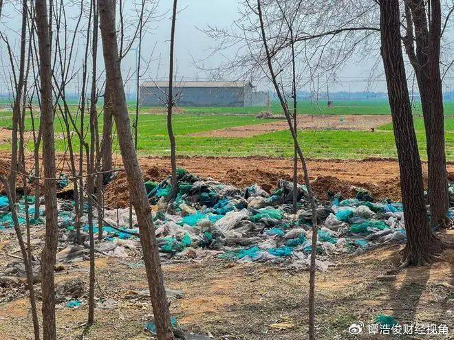 小恶魔被判无期<strong></p>
<p>炒币亏得倾家荡产</strong>，为何网友仍不满意？