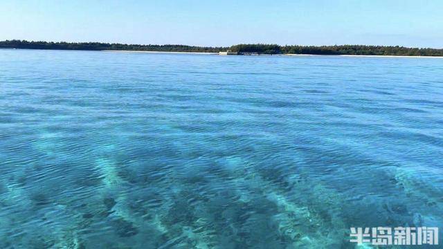 青岛女子买下70万平米小岛后续来了：目前没打算私有<strong></p>
<p>如何刷厘米币</strong>，七八月份将带员工到岛上团建