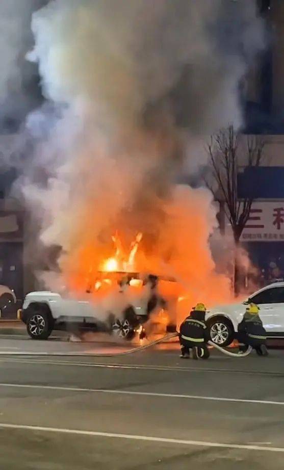 10岁娃点烟花烧毁40多万新车<strong></p>
<p>如何进入币圈</strong>，家长无力赔偿，车主：又订一辆新的