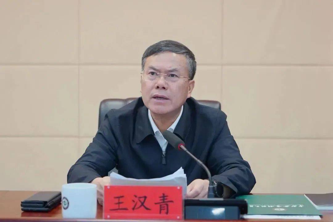 官宣<strong></p>
<p>如何抄币</strong>！王汉青被查