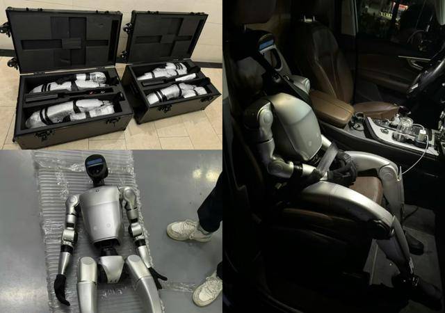 售价10万~65万<strong></p>
<p>如何在币圈发币</strong>,销售一空!谁在抢购人形机器人