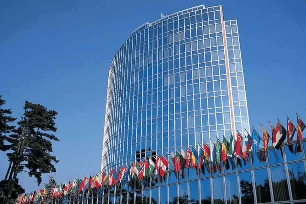 数10人死亡!特朗普遭晴天霹雳<strong></p>
<p>可转换债券如何交易</strong>,联合国都被惊动,中方早有言在先