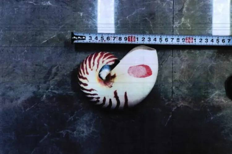 女子网购“漂亮东西”，警察找上门！别侥幸，犯法！