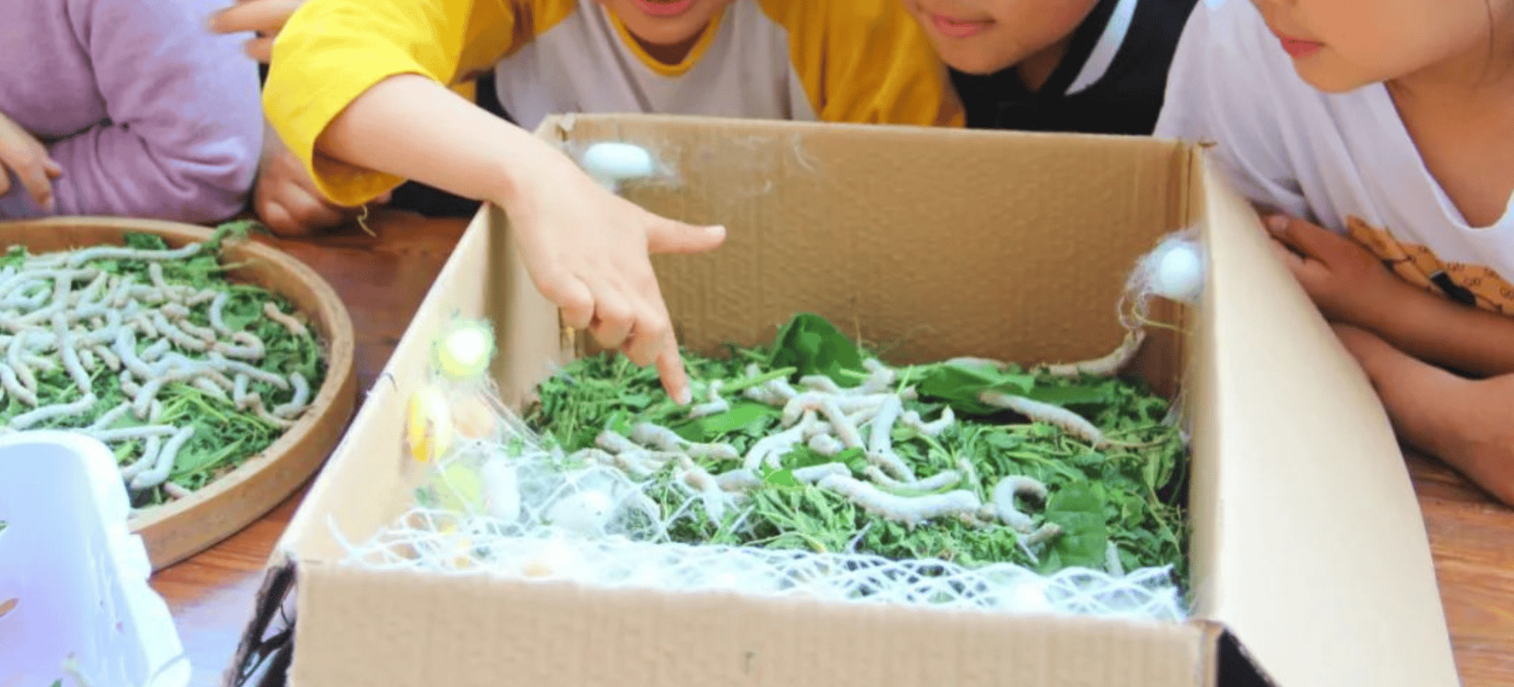 一年卖出1亿条虫！迷倒全国“10后”的小生意<strong></p>
<p>如何玩转为币</strong>，有人年入千万