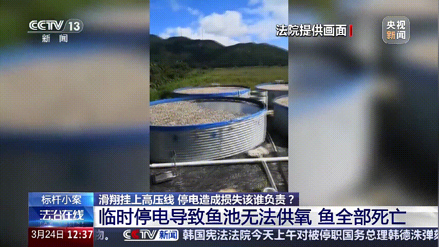 深圳女子被挂高压线！停电救援<strong></p>
<p>币圈小白如何获取资讯</strong>，9池鱼死光！他怒上法庭……