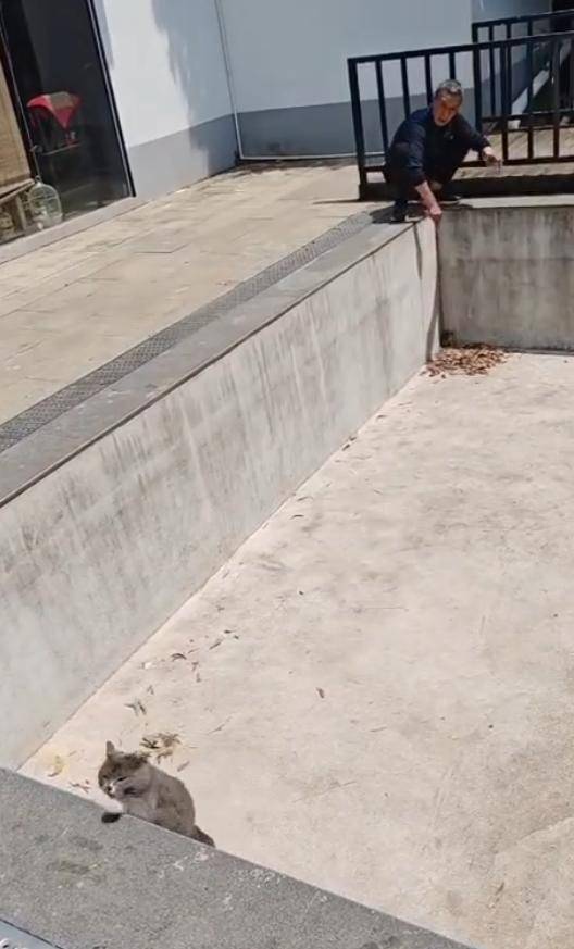 老鼠掉进泳池<strong></p>
<p>币圈小白如何获取资讯</strong>，广东大叔出动鸡猫狗团队，结果全被老鼠吓跑！网友坐不住纷纷晒战绩