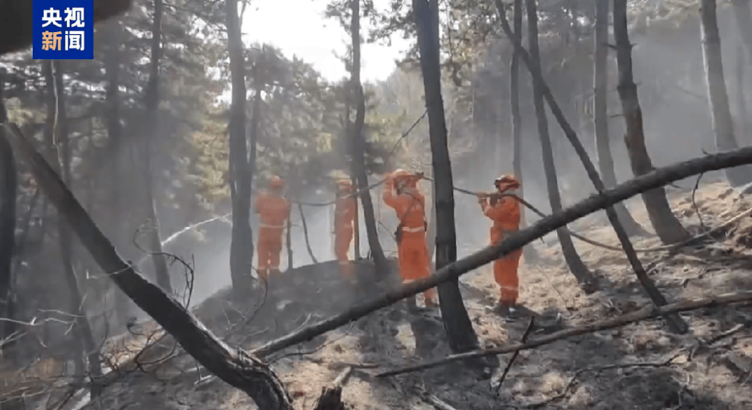 山西发生一起火情<strong></p>
<p>币圈小白如何获取资讯</strong>！最新消息：纵火人员已被抓获