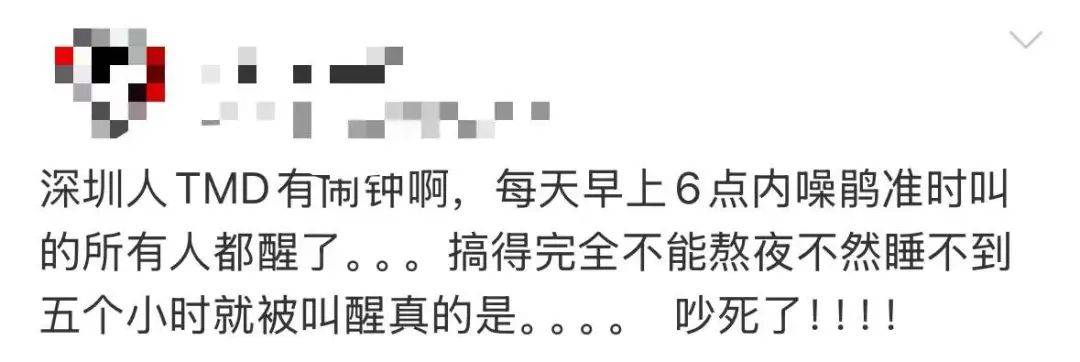 “周末想睡个懒觉都不行”<strong></p>
<p>如何上币</strong>，有多少深圳人被这种鸟吵到神经衰弱