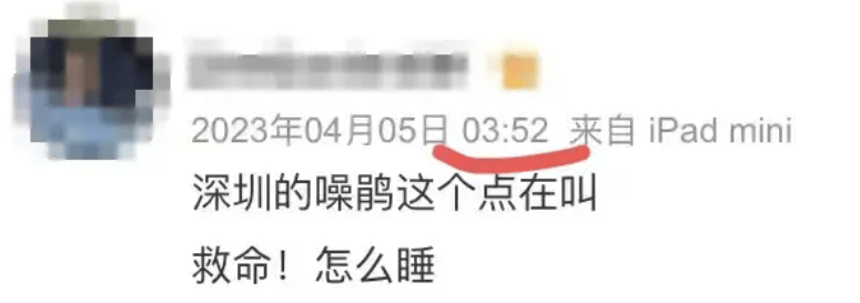 “周末想睡个懒觉都不行”<strong></p>
<p>如何上币</strong>，有多少深圳人被这种鸟吵到神经衰弱