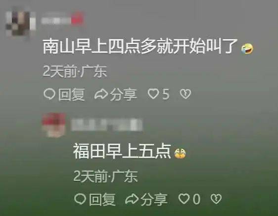 “周末想睡个懒觉都不行”<strong></p>
<p>如何上币</strong>，有多少深圳人被这种鸟吵到神经衰弱