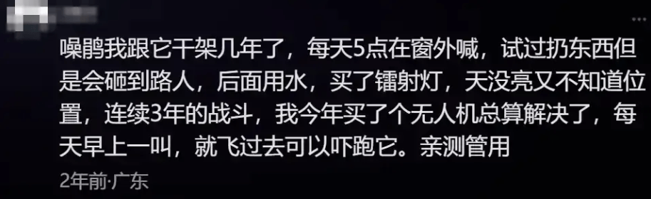 “周末想睡个懒觉都不行”<strong></p>
<p>如何上币</strong>，有多少深圳人被这种鸟吵到神经衰弱