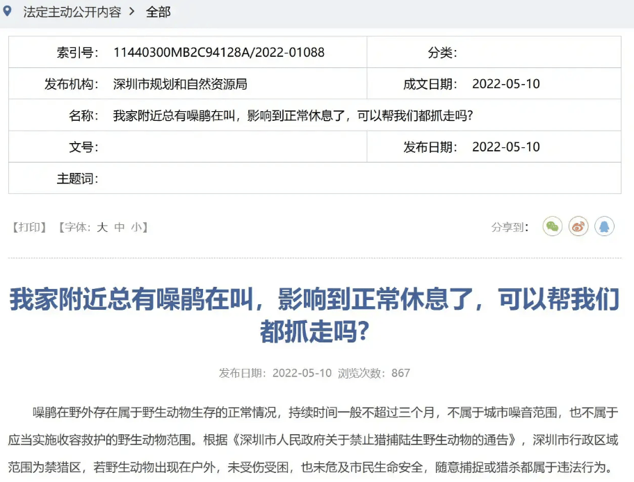 “周末想睡个懒觉都不行”<strong></p>
<p>如何上币</strong>，有多少深圳人被这种鸟吵到神经衰弱