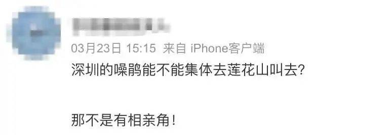 “周末想睡个懒觉都不行”<strong></p>
<p>如何上币</strong>，有多少深圳人被这种鸟吵到神经衰弱