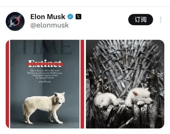 《权力的游戏》中的冰原狼被这家公司复活<strong></p>
<p>如何充币</strong>，马斯克发帖关注