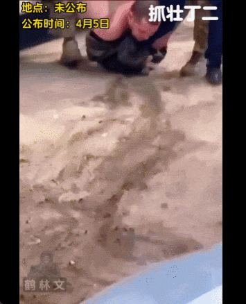 泽连斯基：乌军死亡10万<strong></p>
<p>如何买洪门洪币</strong>，850万人外逃！乌克兰还能挤出多少兵？