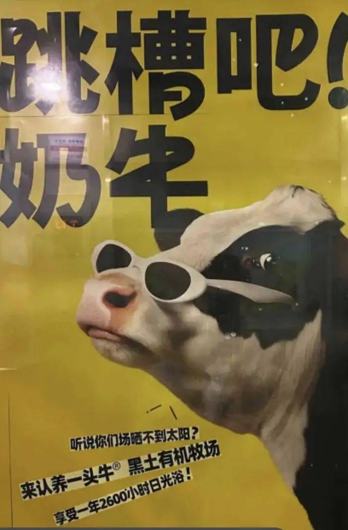 认养一头牛广告被质疑讽刺打工人<strong></p>
<p>如何买洪门洪币</strong>，公司回应：致敬BOSS直聘