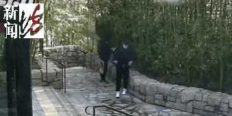 太猖狂!事发上海迪士尼<strong></p>
<p>如何玩转币圈</strong>,7人被刑拘