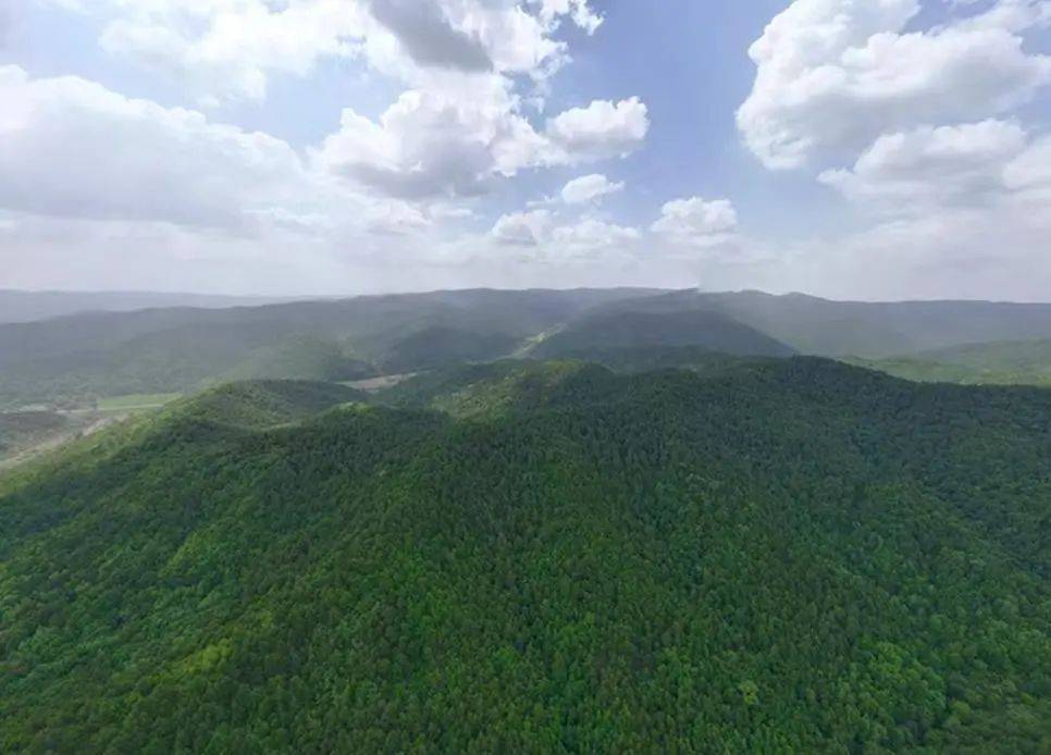 销声匿迹已有30年<strong></p>
<p>如何查看软件源代码</strong>，华北豹正逐渐接近北京——