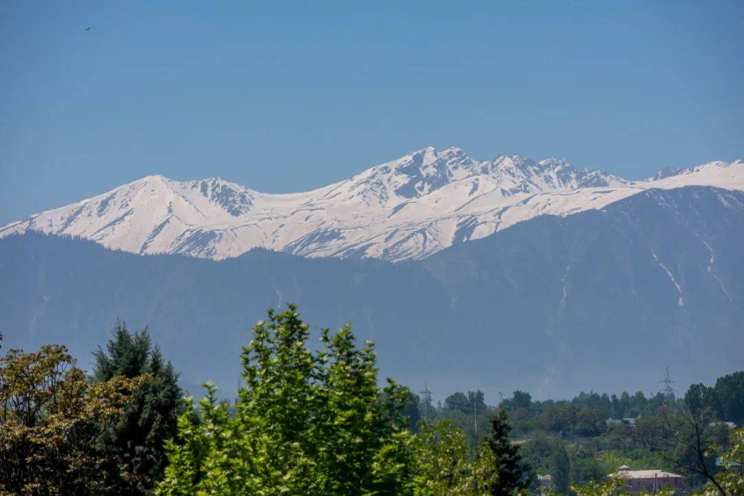 突发！巴基斯坦：击落印军无人机！印控克什米尔地区48处景点被关闭<strong></p>
<p>广东</strong>，巴防长：不会爆发核战！中方表态