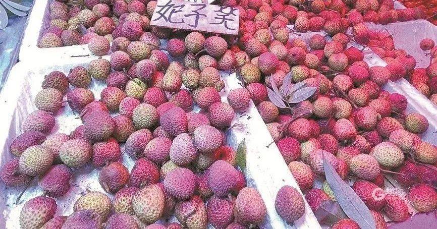 大跳水<strong></p>
<p>slo</strong>，暴跌40%！老板：一天一个价，估计还要跌