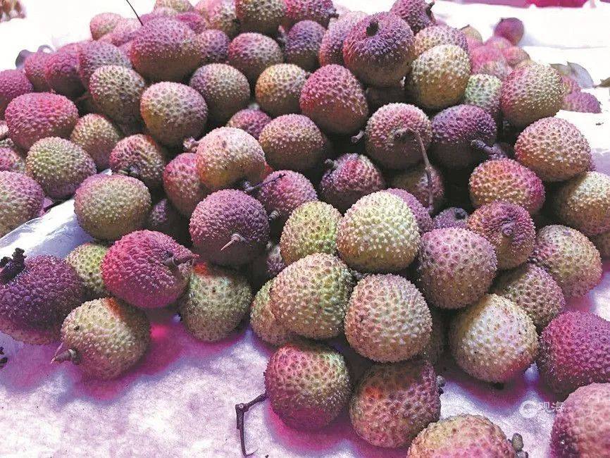 大跳水<strong></p>
<p>slo</strong>，暴跌40%！老板：一天一个价，估计还要跌