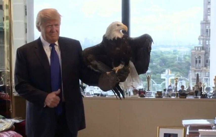 耶伦再次站了出来<strong></p>
<p>slo</strong>,若是与中国对着干,就把美国自己给“打残”了