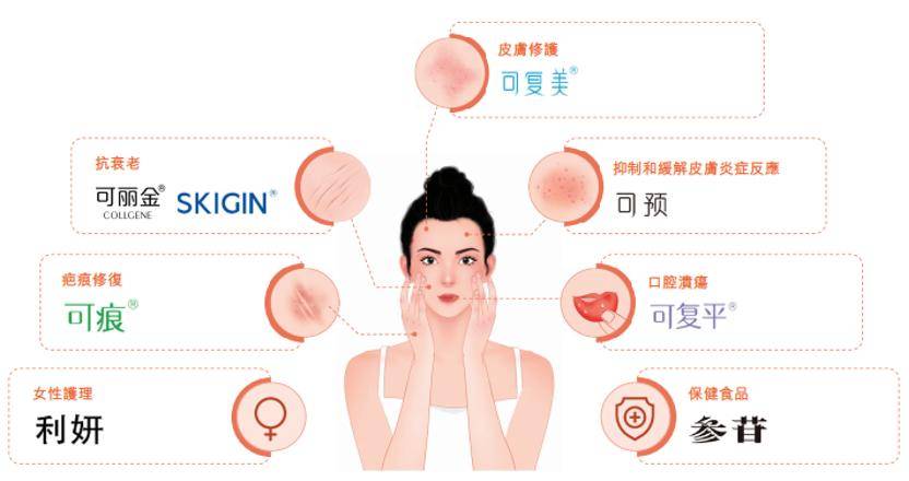 深挖 | “西北大学副校长范代娣成陕西首富”系乌龙<strong></p>
<p>钙片</strong>，但她的人生如同开挂